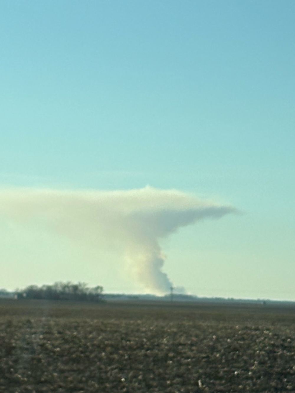 Meet your Posher, Reese